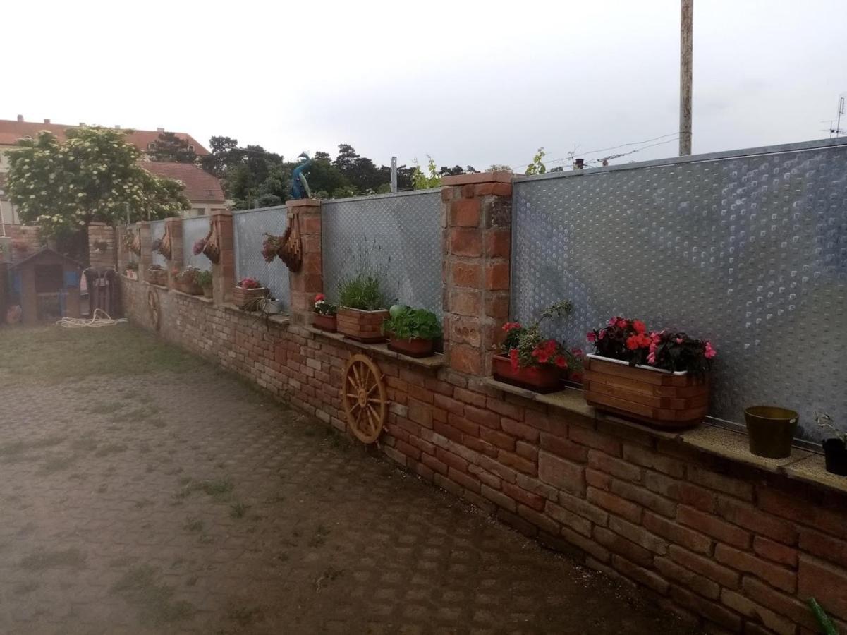 Penzion Alenka Valtice Esterno foto